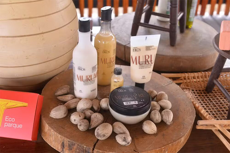 Cosméticos produzidos a partir das amêndoas de muru-muru: matéria-prima da bioeconomia