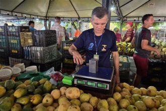 Agente do Inmetro inspeciona balança em feira livre: irregularidades na pesagem (Foto: Inmetro/Divulgação)