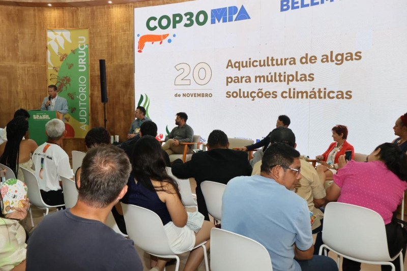 Reunião na COP30 em que o Brasil aderiu à iniciativa pelas algas marinhas (Foto: MPA/Divulgação)