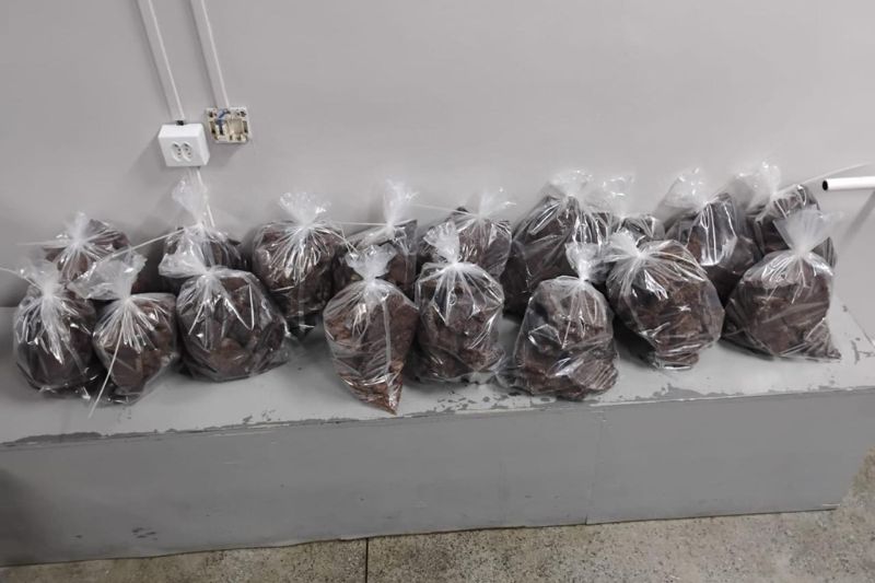 Droga camuflada exige vigilância redobrada da polícia (Foto: Divulgação/PC-AM)