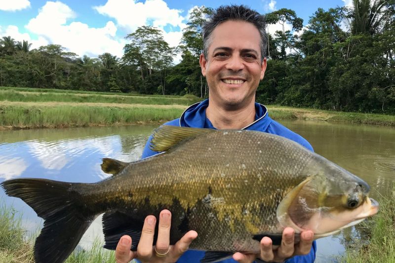 O pesquisador Jenner Menezes foi o primeiro a identificar tambaquis sem espinha em “Y” na Amazônia. A descoberta abriu caminho para estudos de edição genética conduzidos pela Embrapa (Foto: Divulgação) 