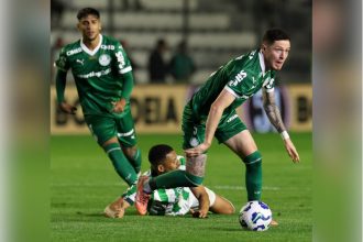 Palmeiras superou o Juventude (RS) com maioria dos jogadores reservas (Foto: Cesar Greco/Palmeiras/by Canon)