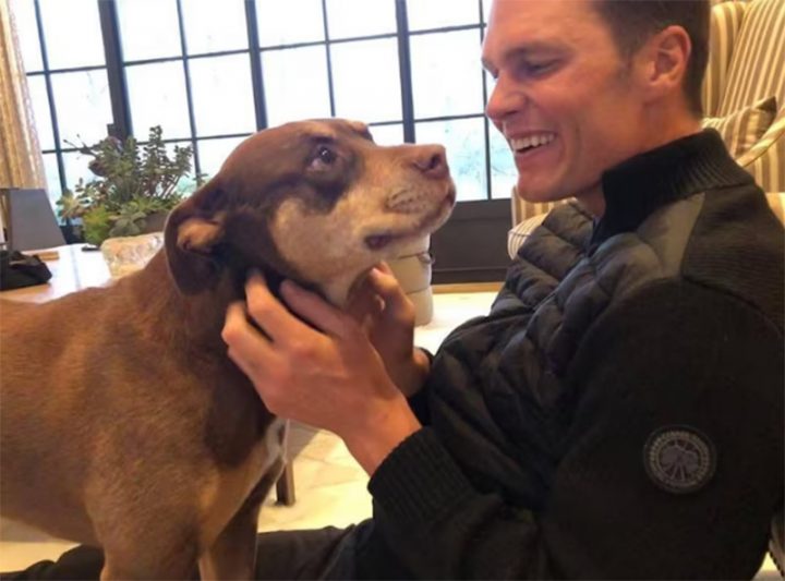 Tom Brady com a cadela Luna, que morreu em 2023. Atleta revelou que fez clonagem do animal (Foto: Tom Brady/Facebook/Reprodução)