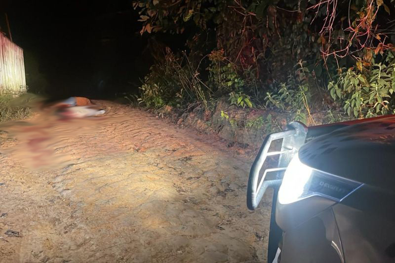 Corpos das vítimas foram deixados no meio do ramal (Foto: WhatsApp/PM-AM/Reprodução)