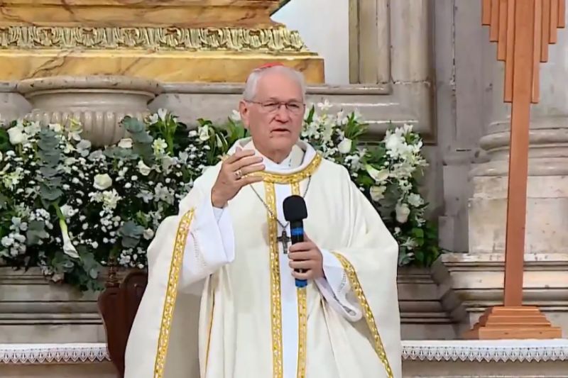 Arcebispo de Manaus e cardeal da Amazônia, dom Leonardo Steiner (Foto: Divulgação/Arquidiocese de Manaus)
