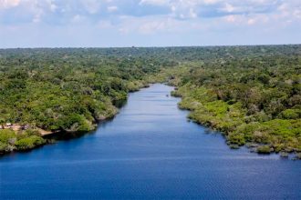 Rio e Floreta Amazônia