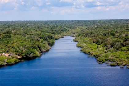Rio e Floreta Amazônia