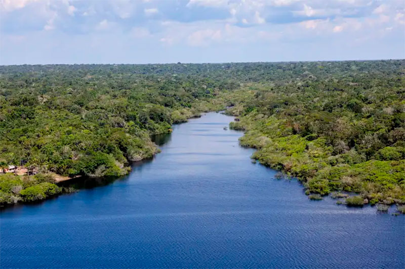 Rio e Floreta Amazônia