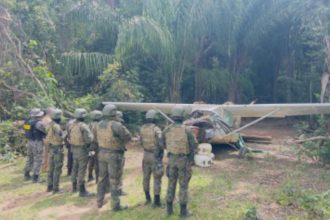 Avião de pequeno porte foi apreendido por agentes da FAB e Polícia Federal (Foto: FAB/Divulgação)
