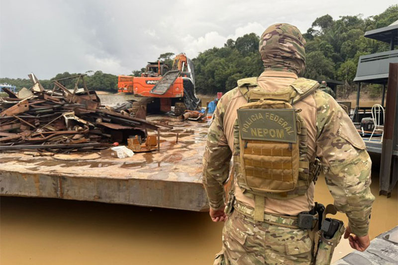 Policiais federais apreenderam balsas em estaleiro clandestino (Foto: PF/Divulgação)