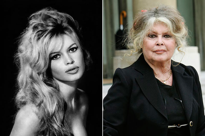 Brigitte Bardot