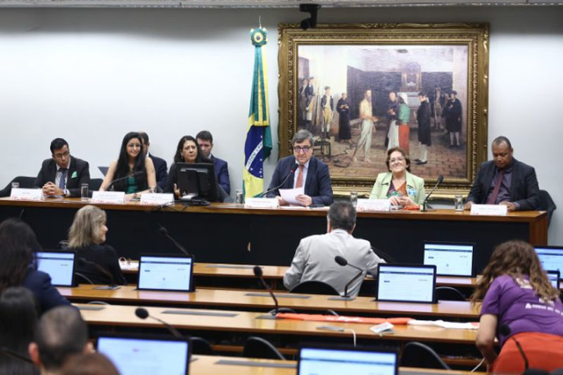Comissão da Educação da Câmara: definição sobre piso nacional (Foto: Vinícius Loures/Agência Câmara)