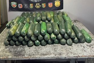 A cocaína foi apreendida e uma mulher foi presa por tráfico de drogas (Divulgação/SSP-AM)