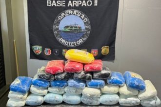 Ao todo, foram apreendidos 32 tabletes de maconha skunk (Foto: Divulgação)