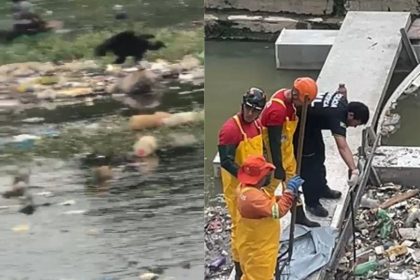 Os restos mortais foram removidos pelo IML (Foto: WhatsApp/Reprodução)
