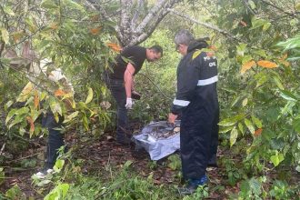 Os restos mortais foram encaminhados ao IML e passarão por exames (Foto: WhatsApp/Reprodução)