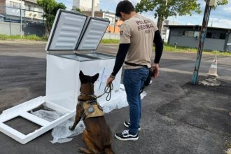 A droga estava escondida de forma dissimulada nas paredes internas de freezers (Foto: Divulgação/PF)