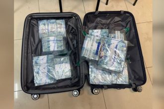 O dinheiro estava em uma mala (Foto: Divulgação/PF)