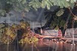 Árvore caiu durante chuva e forte rajada de vento em Manaus (Foto: Reprodução/Amazonas Energia)
