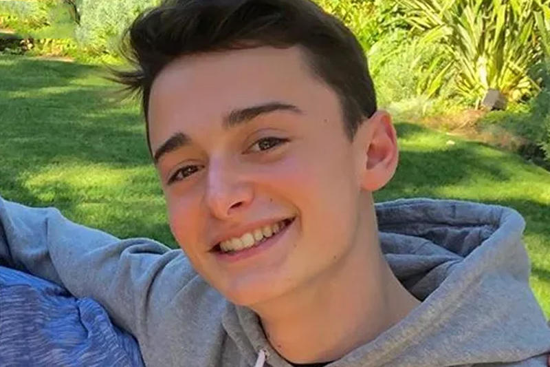 Ator Noah Schnapp confirma presença em evento sobre Stranger Things no Brasil (Foto: Instagram/Reprodução)