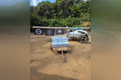 Carga de cocaína e avião foram apreendidos em Maués (Foto: PF/Divulgação)