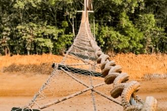 Ponte suspensa em trecho da BR-319: monitoramento de animais para prevenir acidentes (Foto: Dnit/Divulgação)