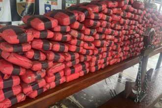 Foram apreendidos 193 tabletes de maconha do tipo skunk (Foto: Divulgação)