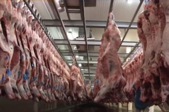 Processamento de carne bovina: Brasil bateu recorde de exportação em 2025 (Imagem: YouTube/Reprodução)