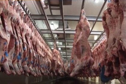 Processamento de carne bovina: Brasil bateu recorde de exportação em 2025 (Imagem: YouTube/Reprodução)