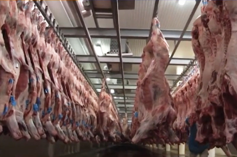 Processamento de carne bovina: Brasil bateu recorde de exportação em 2025 (Imagem: YouTube/Reprodução)