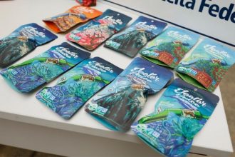 A carga de vaporizadores com óleo de maconha tinha como destino final a cidade de Boa Vista (RR) (Foto: Divulgação/PCAM)