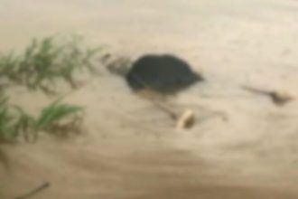 O corpo foi encontrado bionando no rio Paraná do Ramos (Foto: WhatsApp/Reprodução)