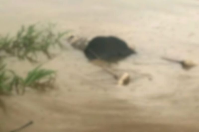 O corpo foi encontrado bionando no rio Paraná do Ramos (Foto: WhatsApp/Reprodução)