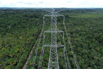 A licença foi concedida após análise ambiental (Foto: Divulgação/Ipaam)