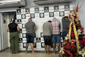 Ao todo, seis pessoas, com idades entre 21 e 29 anos, incluindo uma mulher, foram presas (Foto: Divulgação)