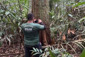 O Ipaam também reforça que a fiscalização ficará intensificada ao longo do período (Foto: Divulgação)