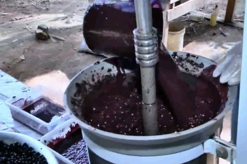 Beneficiando de açaí no interior do Amazonas: máquina funciona com alta carga de energia (Imagem: YouTube/Reprodução)