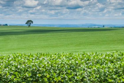 Tecnologia da Embrapa possibilita aumentar produção agrícola sem ampliar área cultivada (Foto: Embrapa/Divulgação)