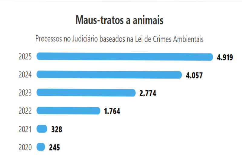 Gráfico sobre casos de maus-tratos a animais