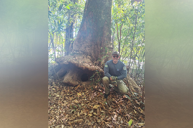 Cícero Furtado e o exemplar raro de macucu (Aldina heterophylla): atração na floresta (Foto: Cícero Furtado/Divulgação)