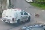 Carro da PM atropela cães