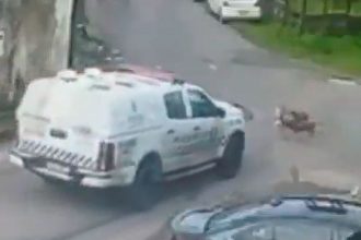 Carro da PM atropela cães