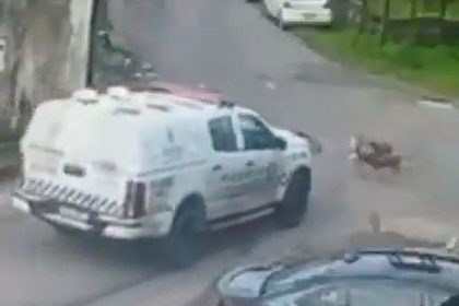 Carro da PM atropela cães
