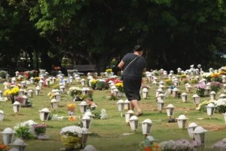 Cães e gatos podem ser sepultados em jazigos familiares em cemitérios de São Paulo (Foto: ABr/Agência Brasil acervo)