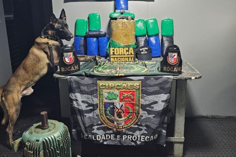 Além da prisão, a Polícia Militar apreendeu 60 quilos de pasta-base de cocaína (Foto: WhatsApp/Reprodução)