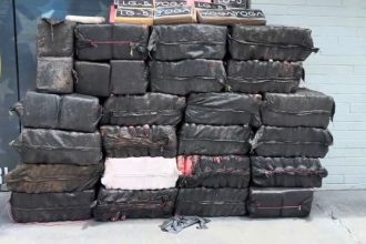 Droga apreendida (Imagem: Divulgação/Policia Militar)