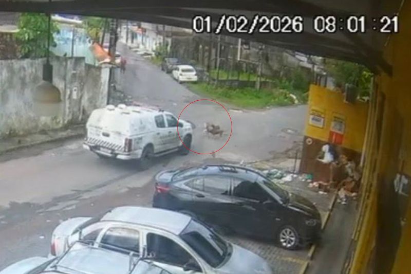 Momento em que a viatura passa por cima dos cães (Imagem: Reprodução/Redes sociais)