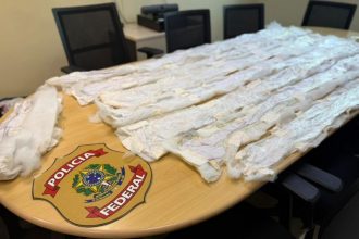Cocaína apreendida estava fixada em tecido de edredons (Foto: Divulgação/PF)