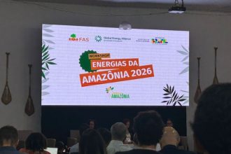 Work shopping apresenta resultados de programa de energia renovável na Amazônia (Foto: AM ATUAL)