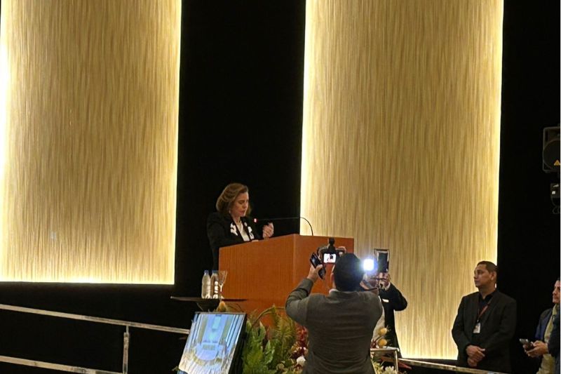 Presidente do TCE-AM, Yara Lins (Foto: AM ATUAL)